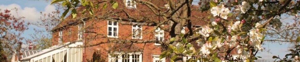 IMG_7708_lg